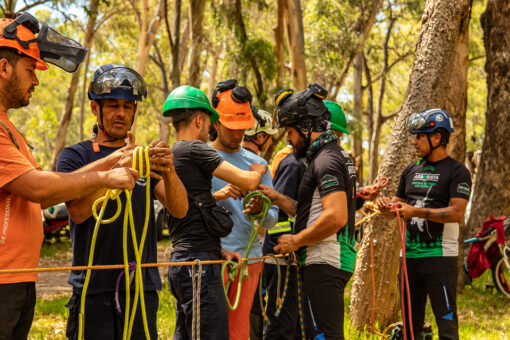 N1 - Curso presencial - Imagen 2