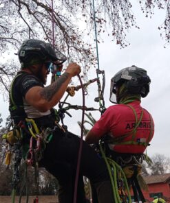 N1 - Curso presencial