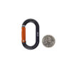 NOTCH MICRO CARABINER STANDARD GATE