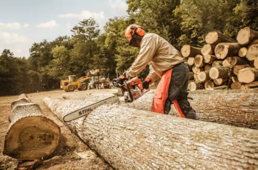 Stihl Ms 661 (Motosierra) - Image 3