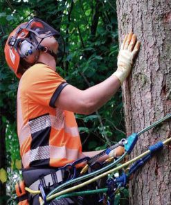 Seguridad y PPE