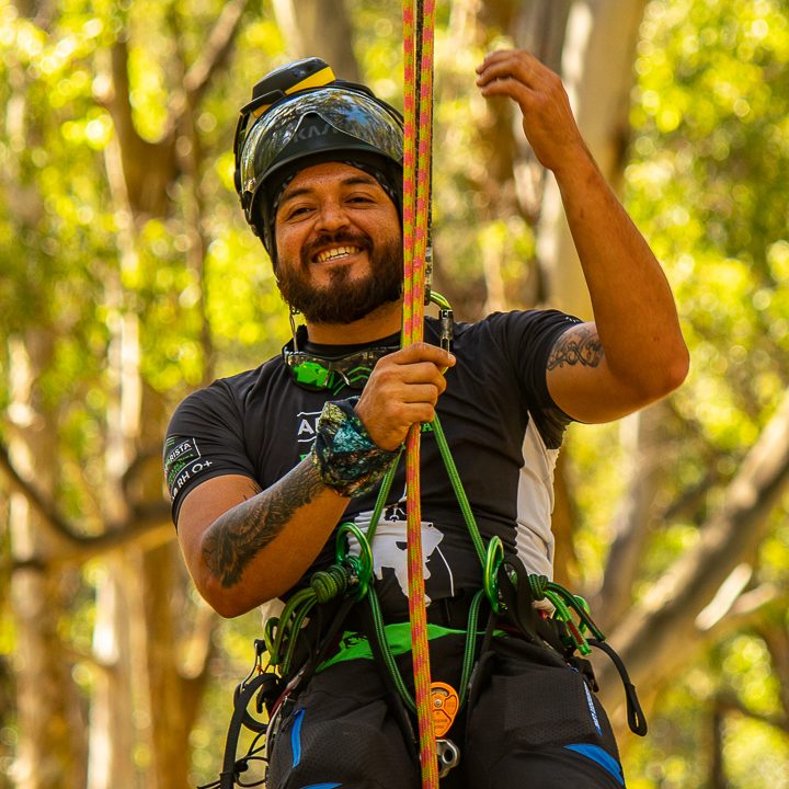 Arborista Mao en el aire