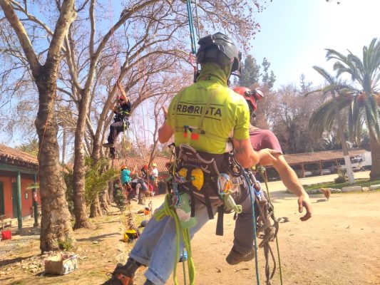Seminario rescate en alturas