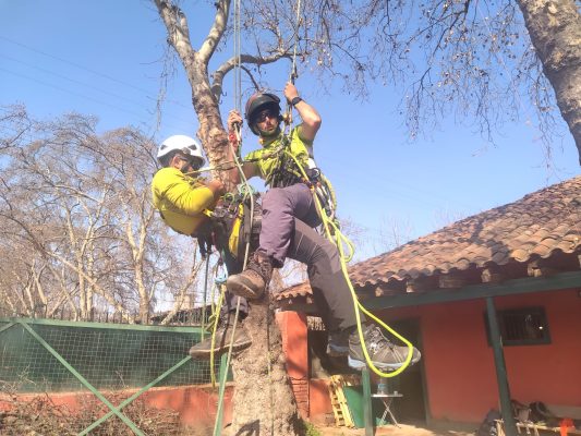 Seminario rescate en alturas