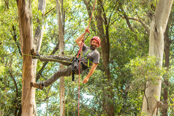 jornada uruguaya de trepa