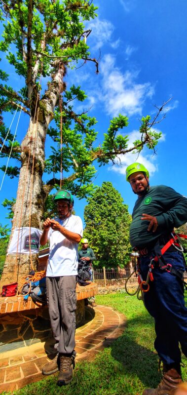 Luis Lassus instructor de la academia de arboristas